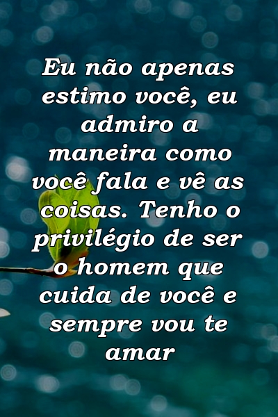 Eu não apenas estimo você, eu admiro a maneira como você fala e vê as coisas. Tenho o privilégio de ser o homem que cuida de você e sempre vou te amar