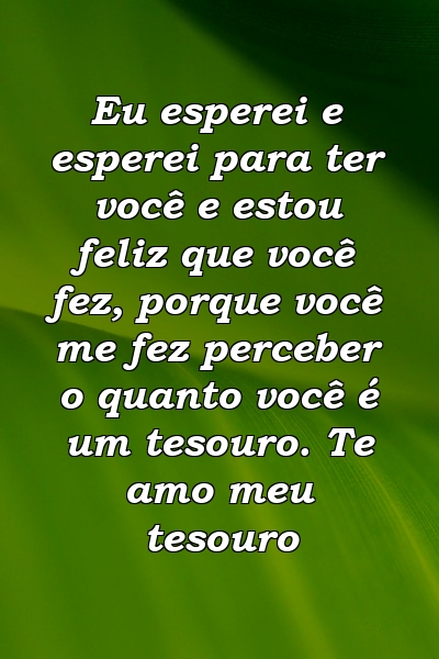 Eu esperei e esperei para ter você e estou feliz que você fez, porque você me fez perceber o quanto você é um tesouro. Te amo meu tesouro