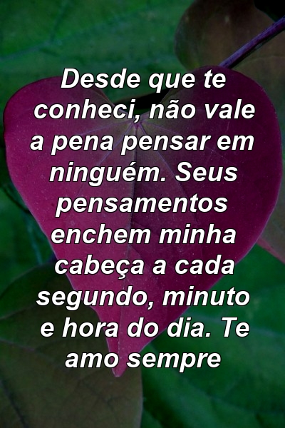 Desde que te conheci, não vale a pena pensar em ninguém. Seus pensamentos enchem minha cabeça a cada segundo, minuto e hora do dia. Te amo sempre