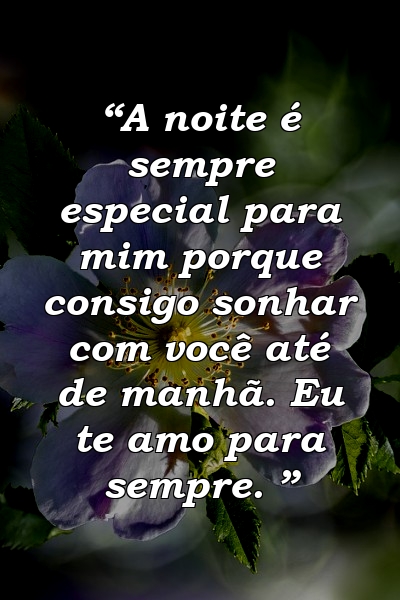 “A noite é sempre especial para mim porque consigo sonhar com você até de manhã. Eu te amo para sempre. ”