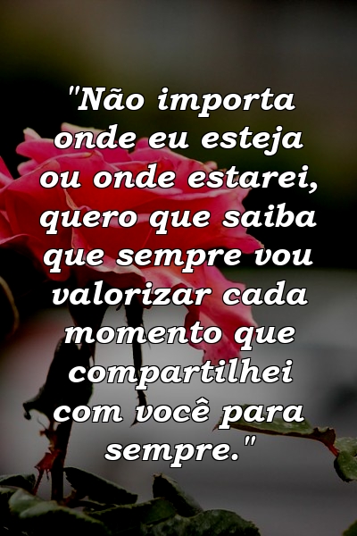 "Não importa onde eu esteja ou onde estarei, quero que saiba que sempre vou valorizar cada momento que compartilhei com você para sempre."