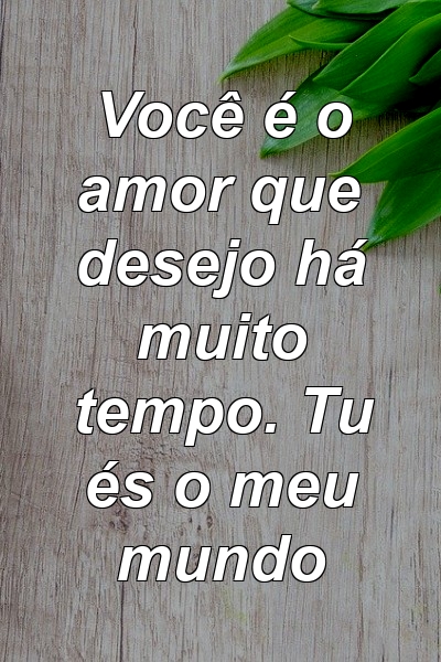 Você é o amor que desejo há muito tempo. Tu és o meu mundo