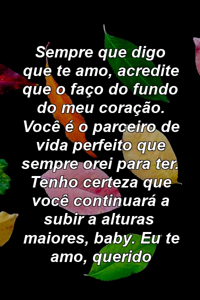 Sempre que digo que te amo, acredite que o faço do fundo do meu coração. Você é o parceiro de vida perfeito que sempre orei para ter. Tenho certeza que você continuará a subir a alturas maiores, baby. Eu te amo, querido