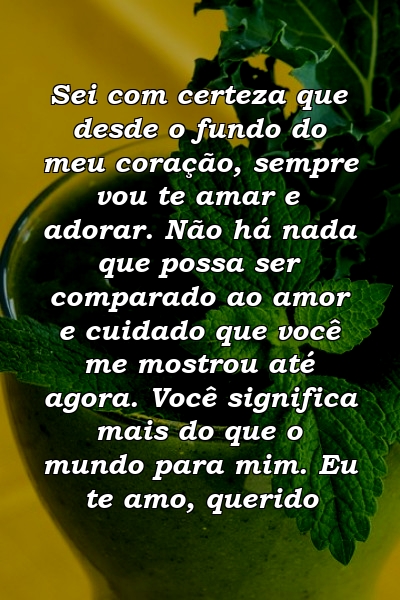 Sei com certeza que desde o fundo do meu coração, sempre vou te amar e adorar. Não há nada que possa ser comparado ao amor e cuidado que você me mostrou até agora. Você significa mais do que o mundo para mim. Eu te amo, querido