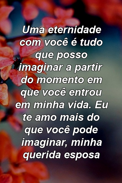 Uma eternidade com você é tudo que posso imaginar a partir do momento em que você entrou em minha vida. Eu te amo mais do que você pode imaginar, minha querida esposa