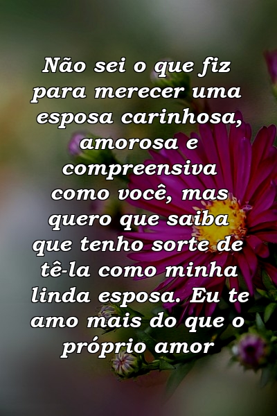 Não sei o que fiz para merecer uma esposa carinhosa, amorosa e compreensiva como você, mas quero que saiba que tenho sorte de tê-la como minha linda esposa. Eu te amo mais do que o próprio amor