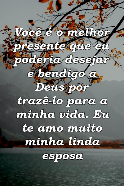 Você é o melhor presente que eu poderia desejar e bendigo a Deus por trazê-lo para a minha vida. Eu te amo muito minha linda esposa