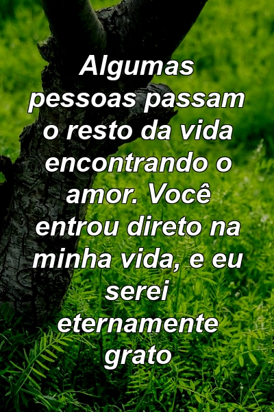 Algumas pessoas passam o resto da vida encontrando o amor. Você entrou direto na minha vida, e eu serei eternamente grato