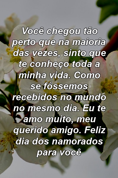 Você chegou tão perto que na maioria das vezes, sinto que te conheço toda a minha vida. Como se fôssemos recebidos no mundo no mesmo dia. Eu te amo muito, meu querido amigo. Feliz dia dos namorados para você