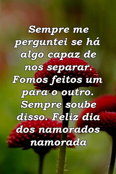 Sempre me perguntei se há algo capaz de nos separar. Fomos feitos um para o outro. Sempre soube disso. Feliz dia dos namorados namorada