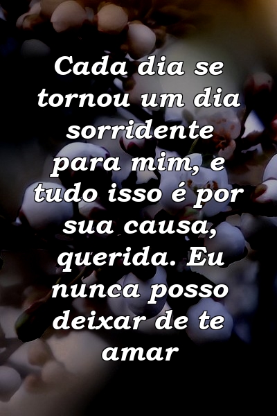 Cada dia se tornou um dia sorridente para mim, e tudo isso é por sua causa, querida. Eu nunca posso deixar de te amar