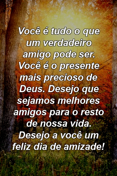 Você é tudo o que um verdadeiro amigo pode ser. Você é o presente mais precioso de Deus. Desejo que sejamos melhores amigos para o resto de nossa vida. Desejo a você um feliz dia de amizade!