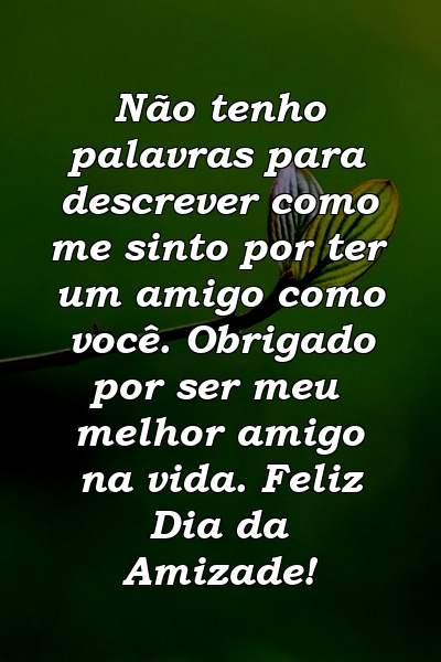 Não tenho palavras para descrever como me sinto por ter um amigo como você. Obrigado por ser meu melhor amigo na vida. Feliz Dia da Amizade!