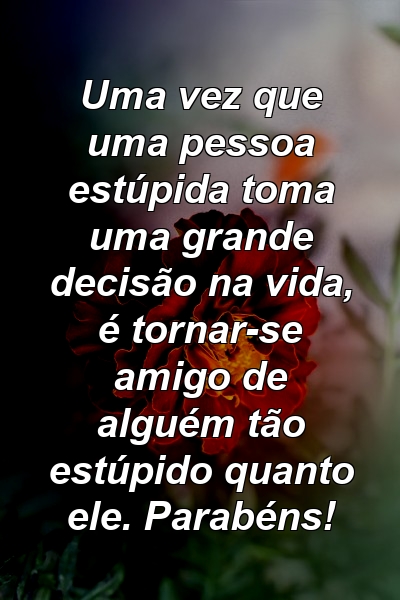 Uma vez que uma pessoa estúpida toma uma grande decisão na vida, é tornar-se amigo de alguém tão estúpido quanto ele. Parabéns!