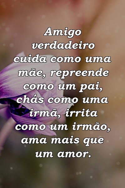 Amigo verdadeiro cuida como uma mãe, repreende como um pai, chás como uma irmã, irrita como um irmão, ama mais que um amor.