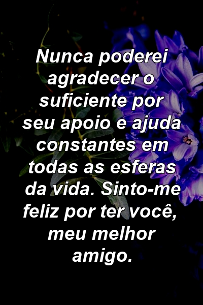 Nunca poderei agradecer o suficiente por seu apoio e ajuda constantes em todas as esferas da vida. Sinto-me feliz por ter você, meu melhor amigo.