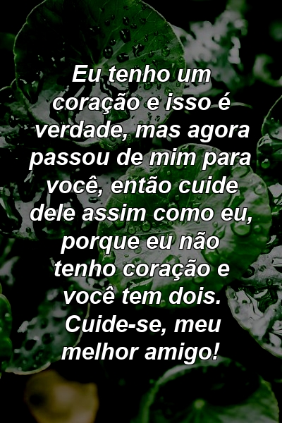 Eu tenho um coração e isso é verdade, mas agora passou de mim para você, então cuide dele assim como eu, porque eu não tenho coração e você tem dois. Cuide-se, meu melhor amigo!