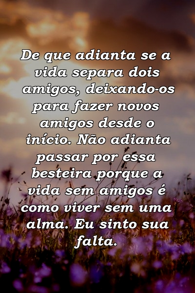 De que adianta se a vida separa dois amigos, deixando-os para fazer novos amigos desde o início. Não adianta passar por essa besteira porque a vida sem amigos é como viver sem uma alma. Eu sinto sua falta.